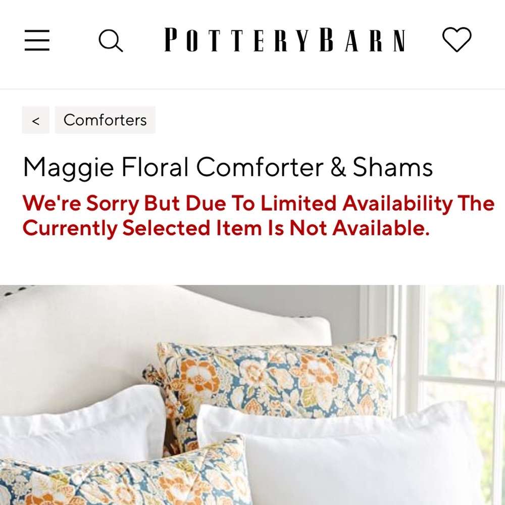 Pottery Barn Maggie Floral Batted Side Tie Standard Shams - Set of two - Picture 15 of 16